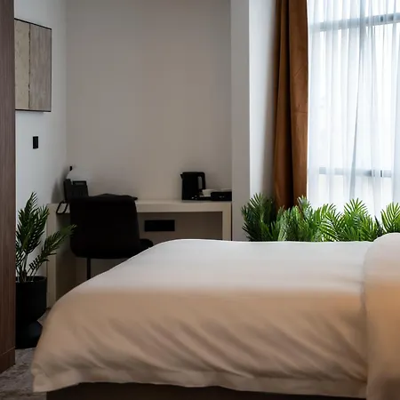 Rubin Dhs Hotel