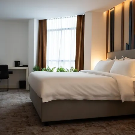 Rubin Dhs 4* Kruševac