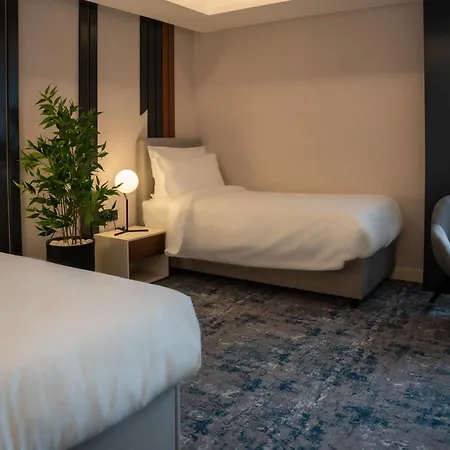 Rubin Dhs 4* Kruševac