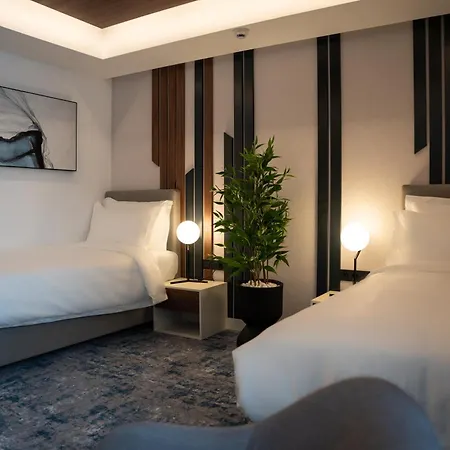 Rubin Dhs 4* Kruševac