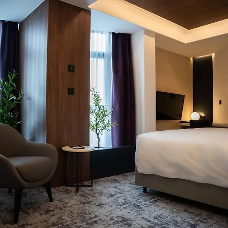 Hotel Rubin Dhs Krusevac